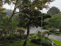 -浙江西子宾馆·瑶园咖啡厅