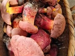 -三锅莊·牦牛肉火锅·香格里拉特色藏餐宴请餐厅(昆明创始店)