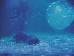 -常州海昌海洋探索馆