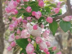 -元大都城垣遗址公园