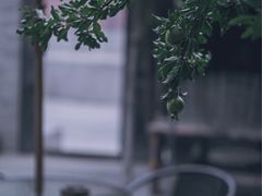 -出走咖啡·面包(宋庄店)