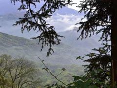 -青城山