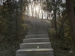 -南翠屏公园