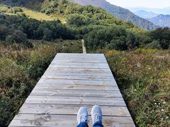 -白草畔自然风景区