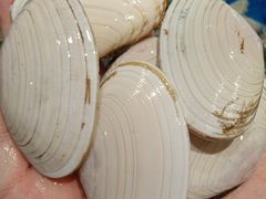 白贝-青石桥市场北1-27号