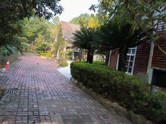 -故乡缘·香格里拉山庄(冷竹路店)