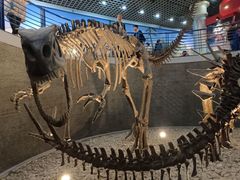 -国家自然博物馆