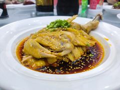 -苏启渔港(云南北路店)