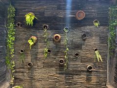 -一只烧鸡公(解放碑店)