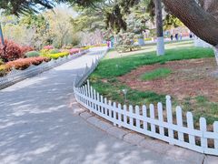 -青岛德国总督楼旧址博物馆