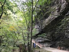-黎坪国家森林公园