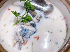 -全乐鱼馆·淳牌有机鱼直营店