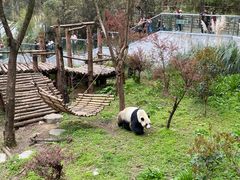 -黔灵山公园