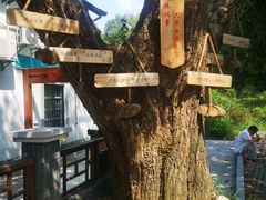 -雅鲁激流探险漂流