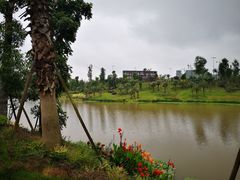 -枫香湖儿童公园