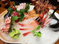 -月龍吟(朝龙汇店)
