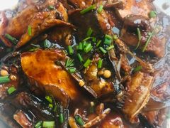 红烧太湖白鱼-梨云山居农家乐