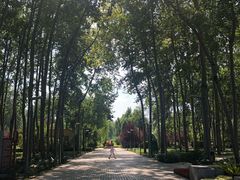 -仁和公园(顺义区)