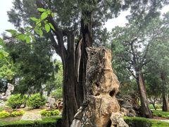 -北京市劳动人民文化宫(太庙)