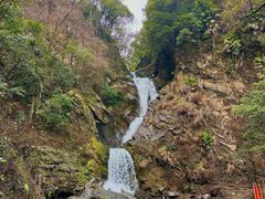 -石台牯牛降景区