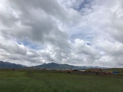 -山丹皇家马场
