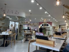 -喵园·猫主题咖啡厅·撸猫·猫咖(国贸店)