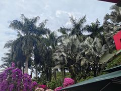 -东莞市大岭山森林公园