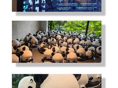 -杭州植物园