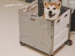 -天津万象城