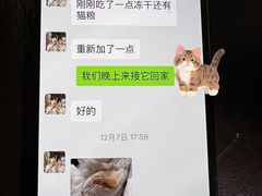 -康成宠物医院24H·CT·核磁共振