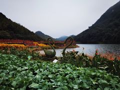 -广州市石门国家森林公园