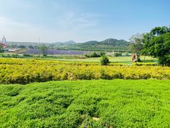 -西海岸生态观光园