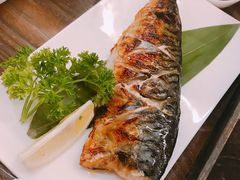 盐烧鲭花鱼-东京屋(武定路店)