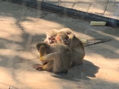 -长白岛森林公园