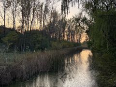 -昆山城市生态森林公园