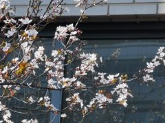 -三义和酒楼(千佛山店)
