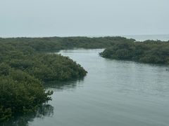 -北海金海湾红树林生态旅游区
