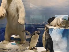 -国家自然博物馆