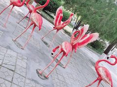 -保定市动物园