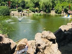 -郑和公园
