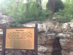 iphone_upload_pic-景山公园