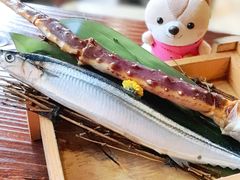 -矶野水产(澳门逸园中心店)