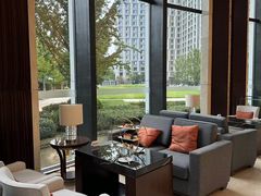 -新都绿城喜来登酒店大堂吧