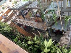 -Rainforest