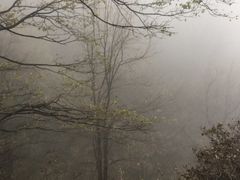 -阳台山自然风景区