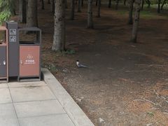 -长春公园(普阳街道)