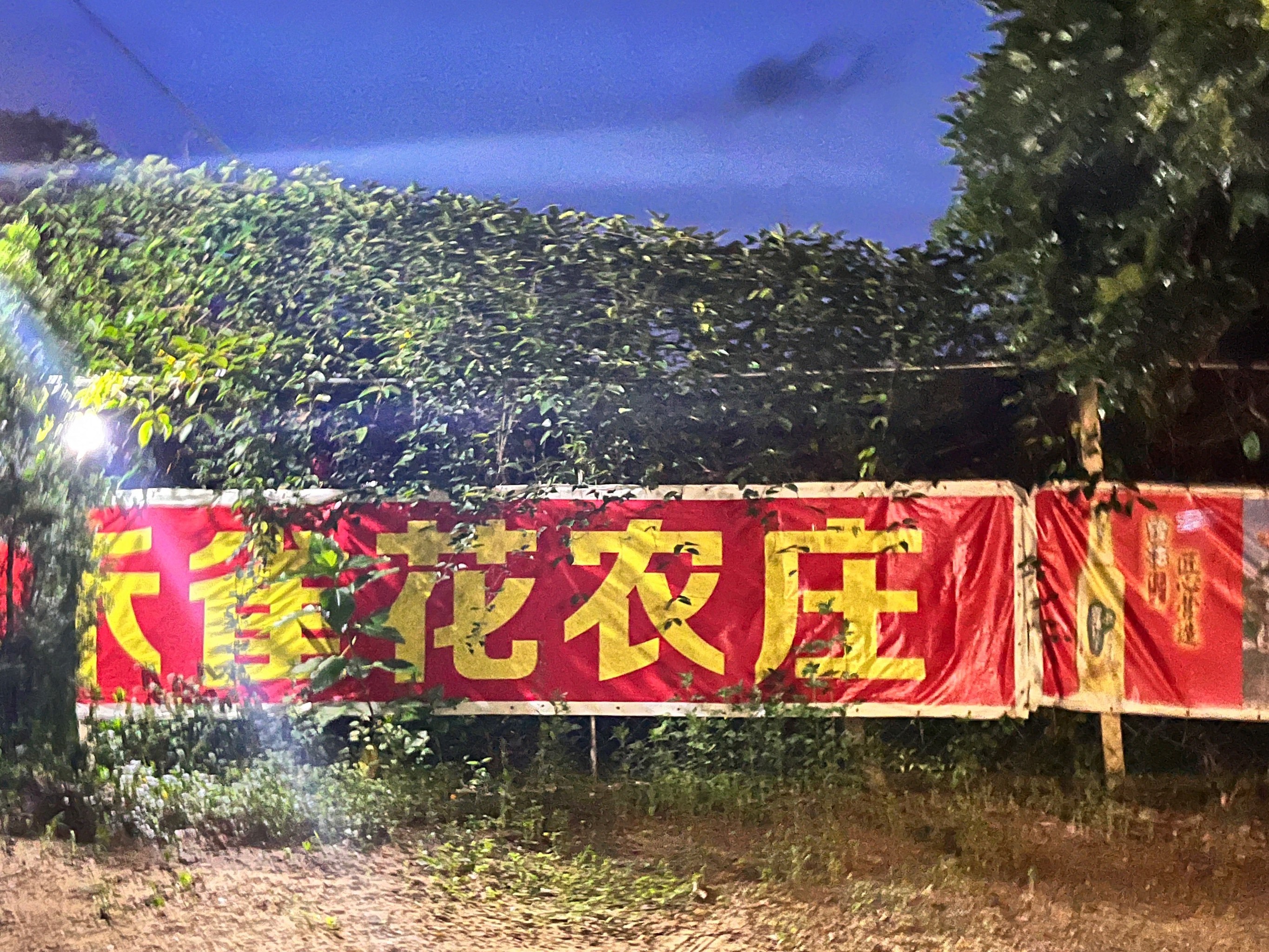 台山水步禾雀花农庄