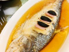 鸡汁花雕火腿蒸鲥鱼-瑞福园联谊餐室(茂名南路店)