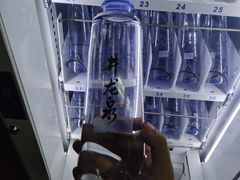 -飞翔公园(地铁站)