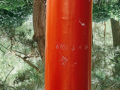 -青城公园
